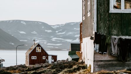 annie-spratt-1064409-unsplash